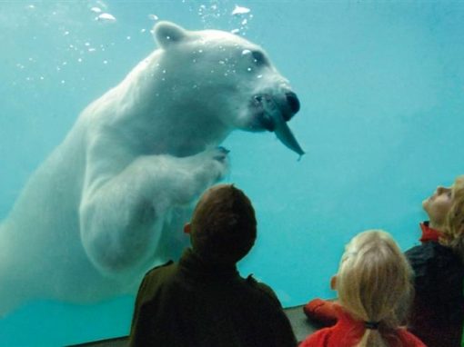 Diergaarde Blijdorp